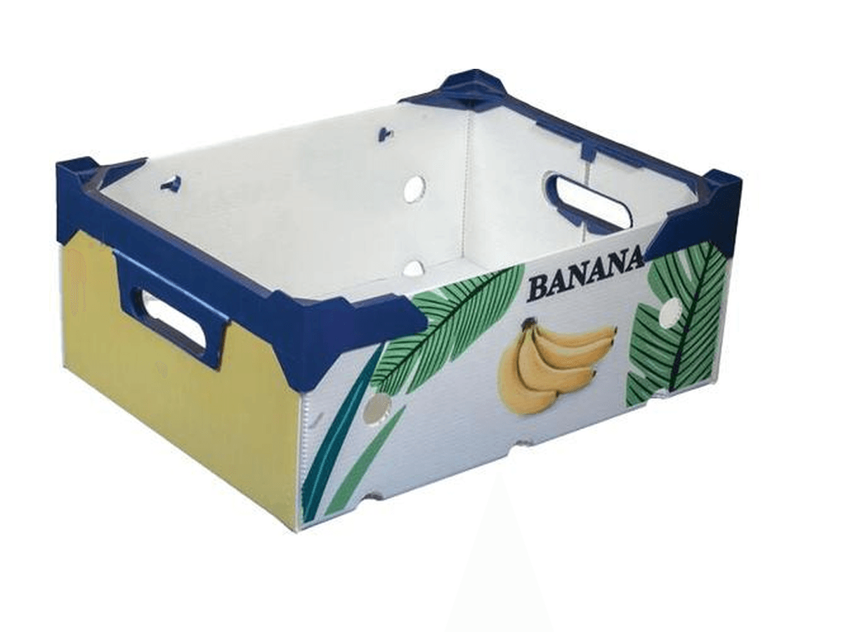 Printed PP corrugated fruit box with reinforced blue edges