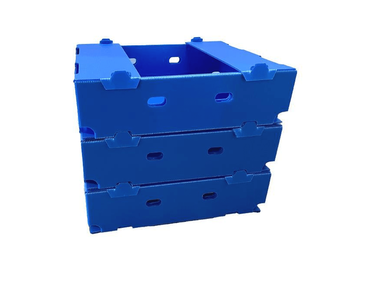 Stack of blue PP corrugated fruit boxes with locking tabs